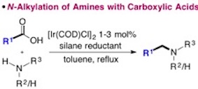 Table of contents graphic amination chem comm